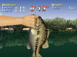 Action Bass background